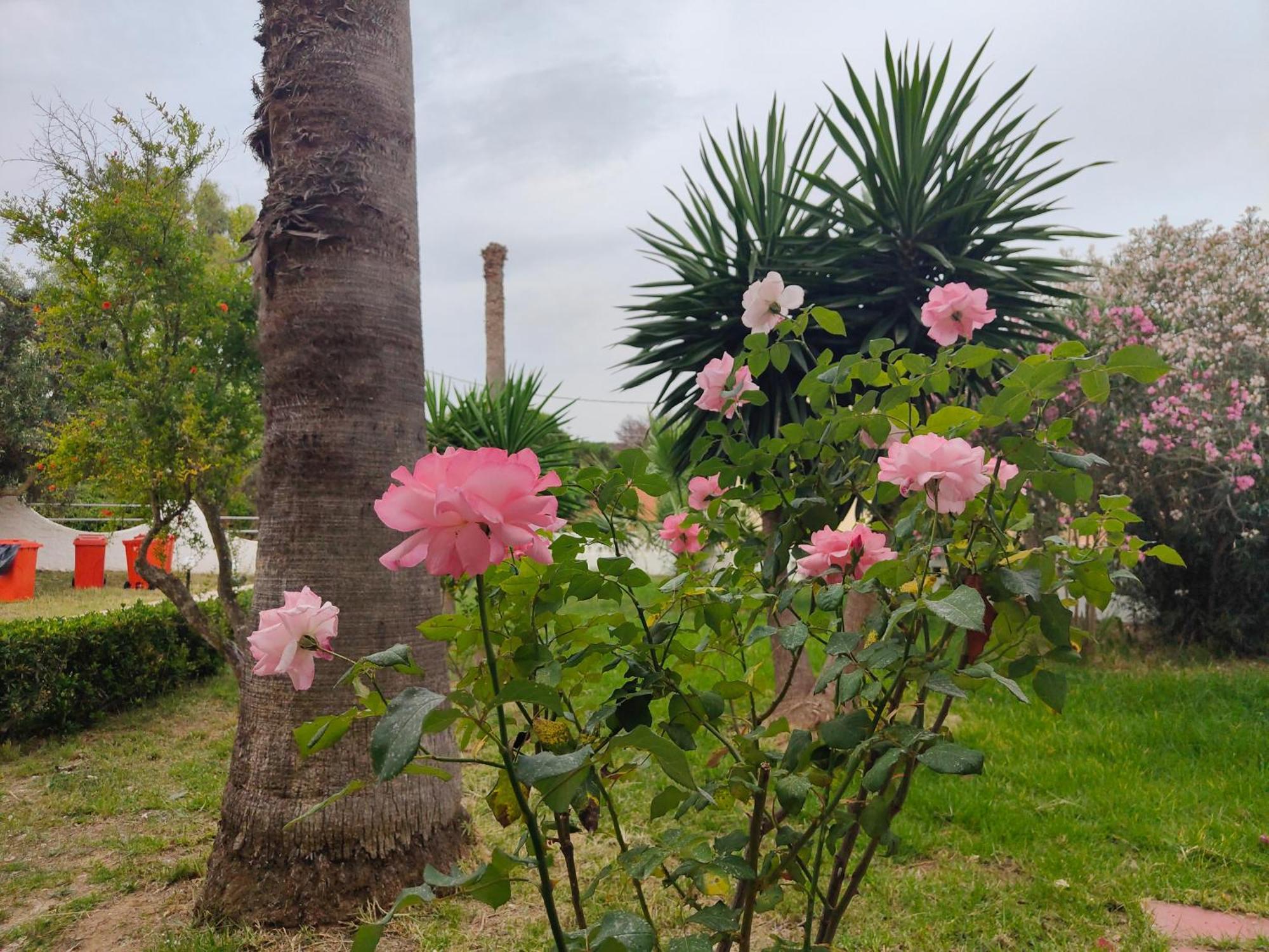 Sun See View Agios Stefanos Avliotes  ภายนอก รูปภาพ